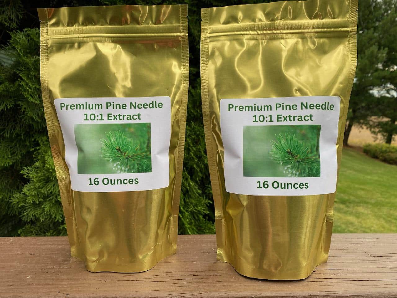 Premium Pine Needle 10:1 Extract - 32 oz image 0