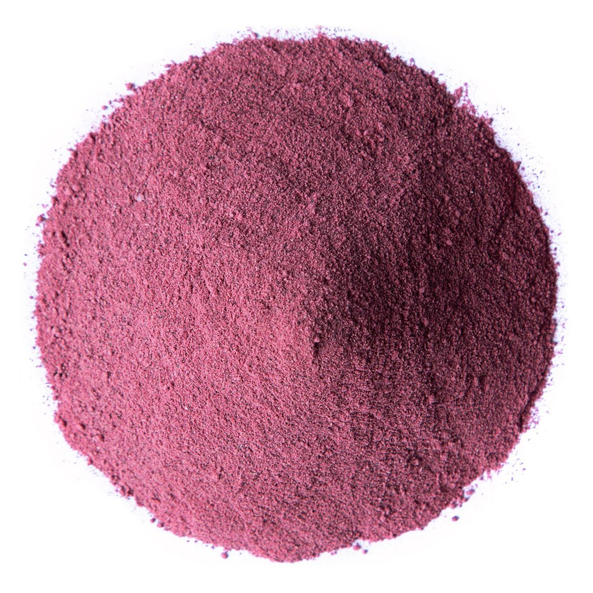 Premium Elderberry Powder - 3 lbs image 0