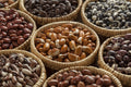 Soup Bean Survival Kit image 0