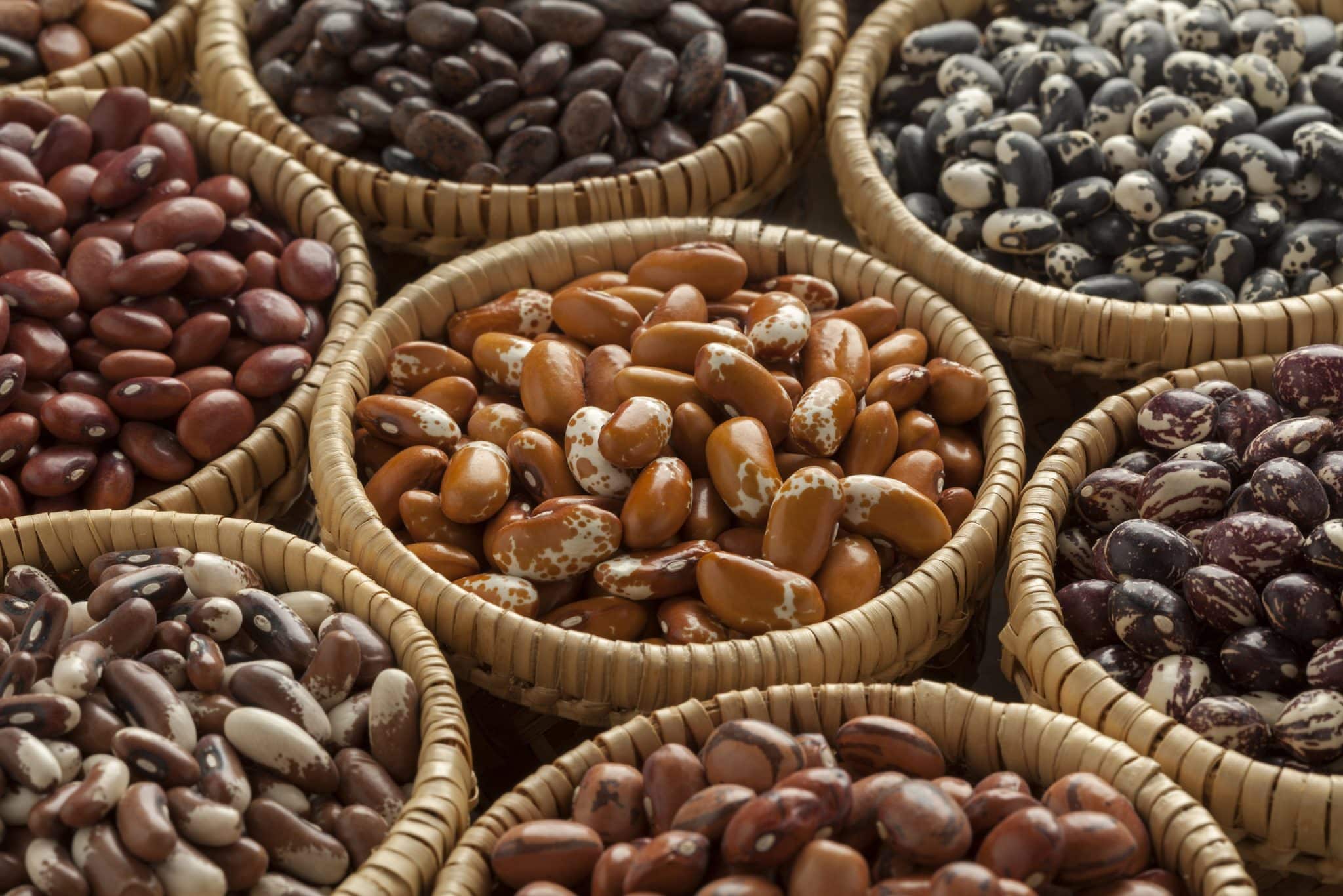 Soup Bean Survival Kit image 0