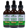 Micronized Turmeric (3 Bottles) image 0