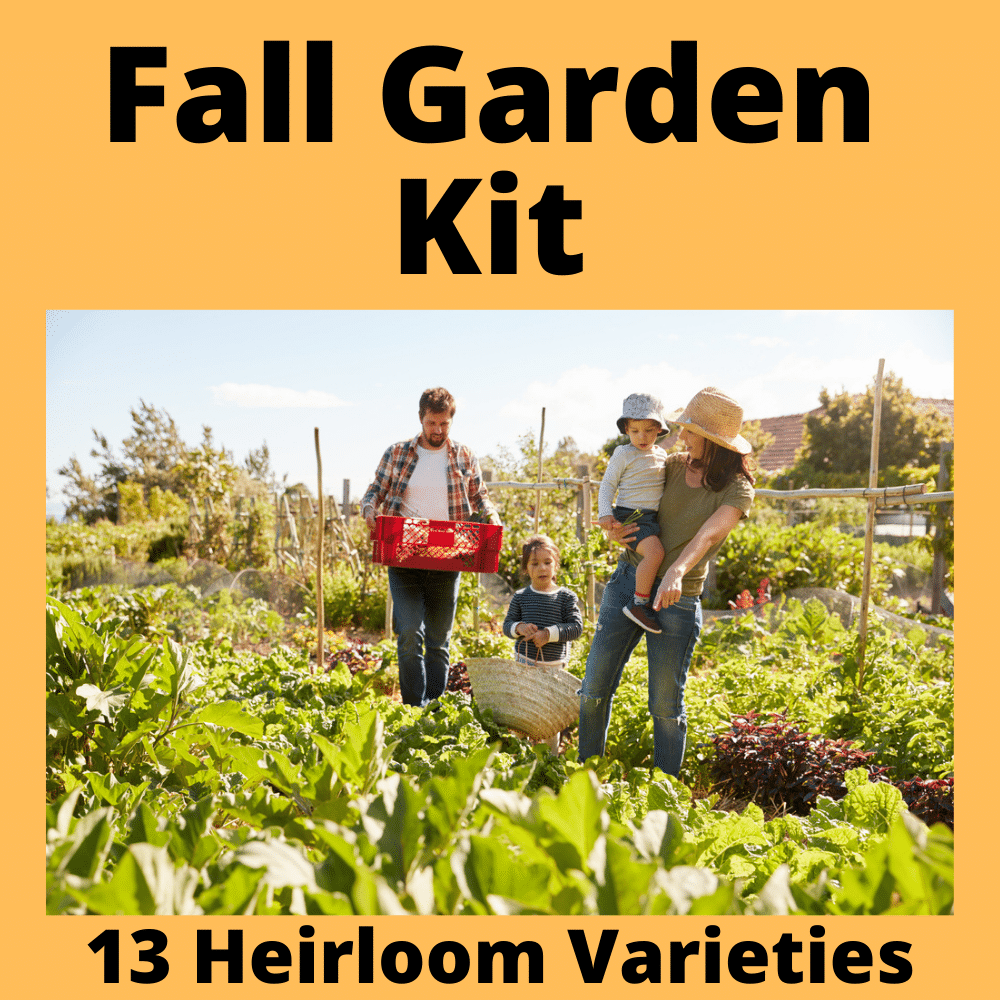 Fall Garden Kit image 0