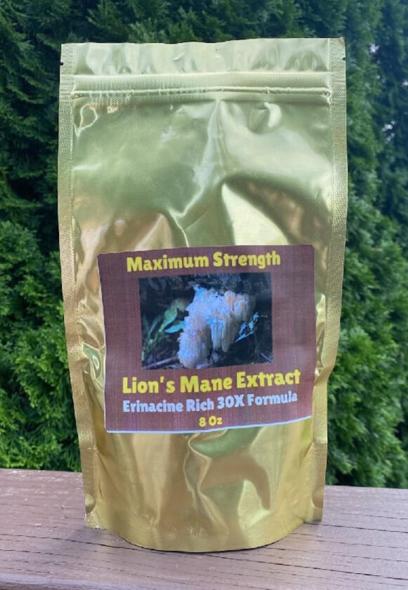 30X Lion's Mane Extract - 8 oz image 0