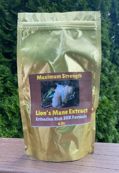 30X Lion's Mane Extract - 8 oz image 0