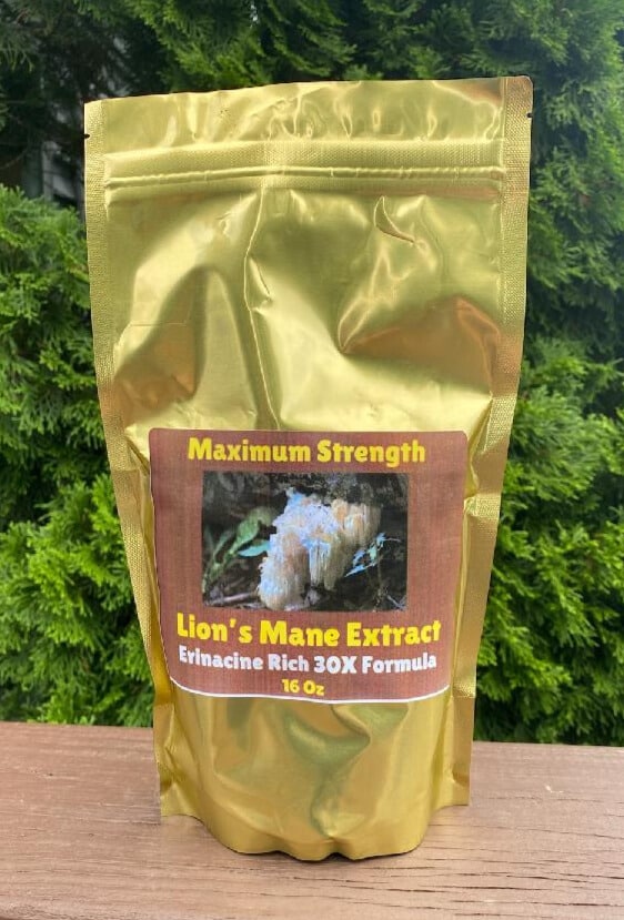 30X Lion's Mane Extract - 16 oz image 0